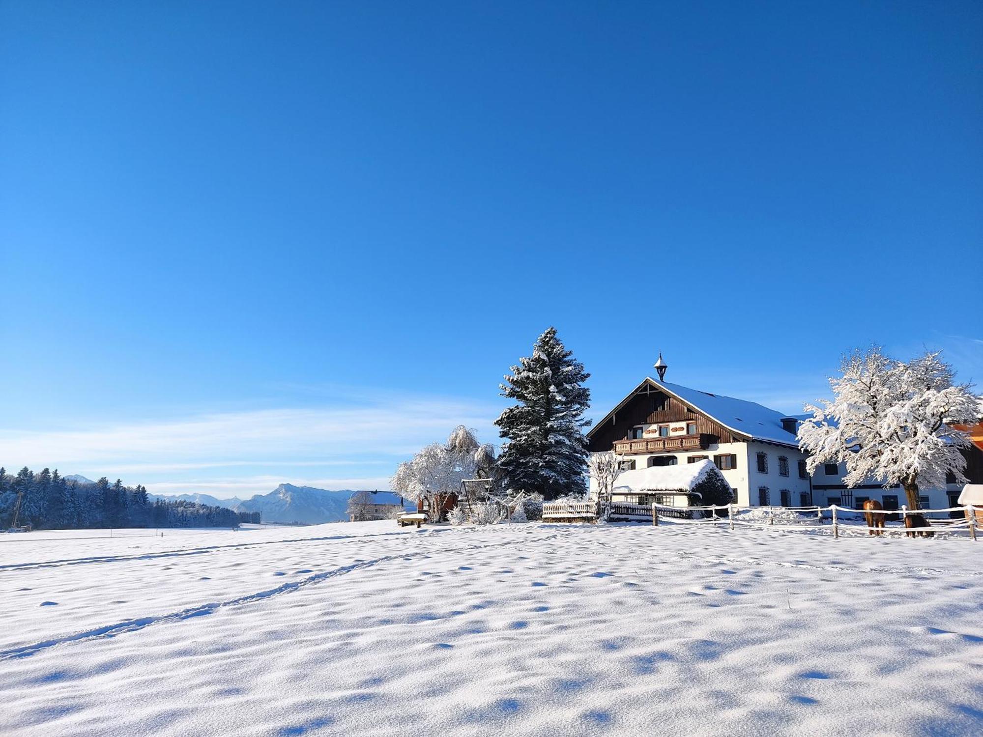 Villa Bauernhofferien Oberdürnberg Seekirchen am Wallersee Exterior foto